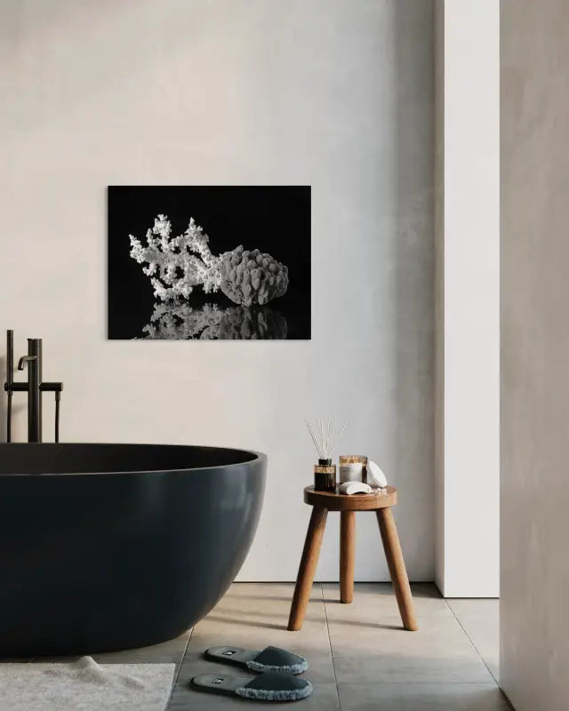 Black & White Octopus Coral Art Print with Sponges - Shell Glass Prints