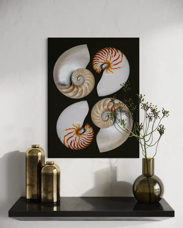 Four Halves of Nautilus - Unique Glass Print Art for Ocean Decor - Coastal Prints