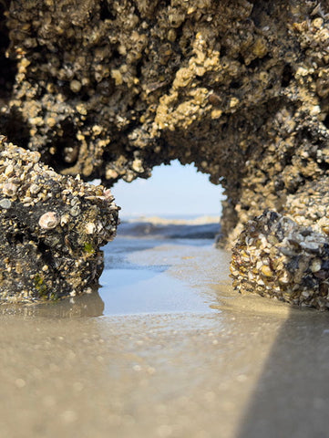 Natural rock arch with barnacles at beach for stunning beach photos and leading lines.