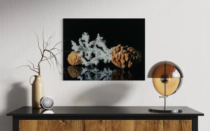 Octopus Coral & Sea Sponge Glass Art Print - Shell Prints